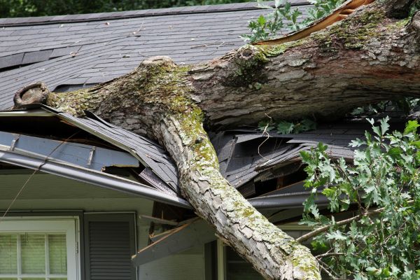 Storm Remediation in Midland