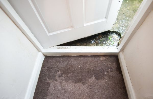 Wet Carpet Restoration in Midland