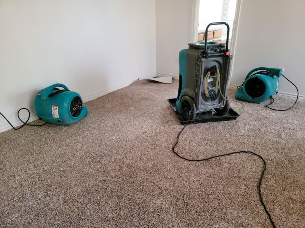 Flood Damage Repair in Midland