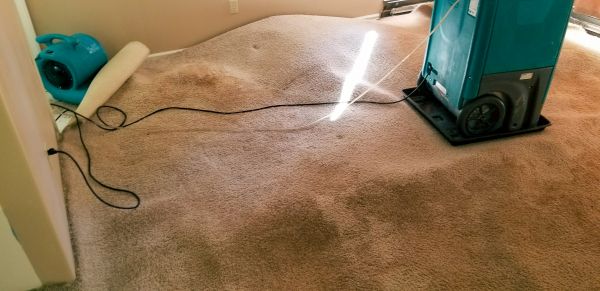 Flood Damage Cleanup in Midland