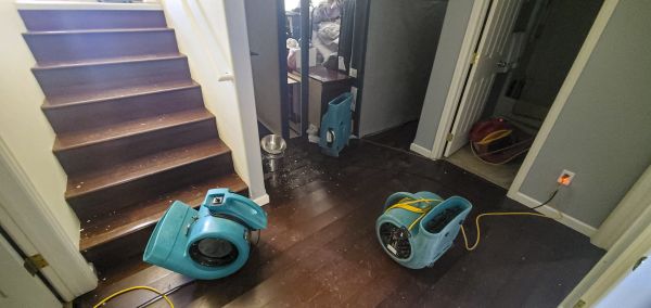 Water Damage Remediation in Midland